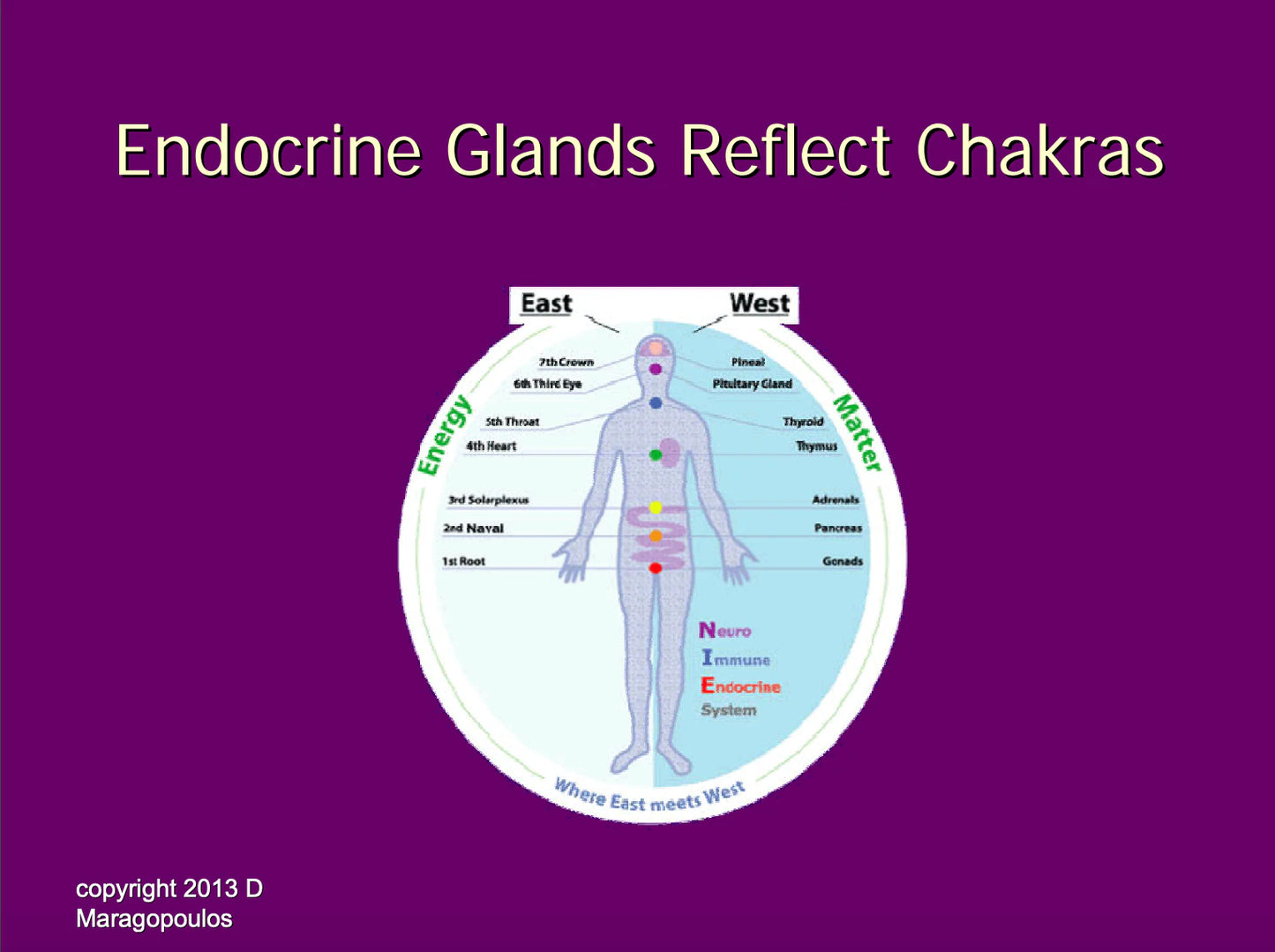 Module 7 Digestion & Detoxification