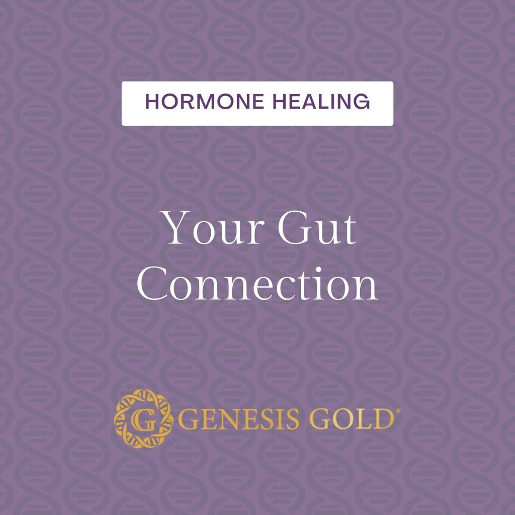 Your Gut Connection